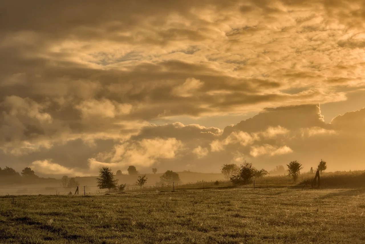 Goldenes Morgenlicht über einer nebligen Wiese