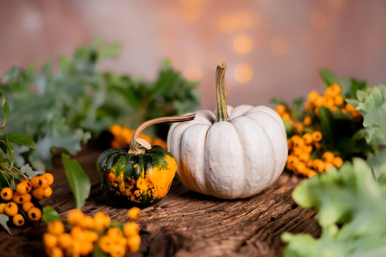 Kürbis und Beeren, herbstliche Vollwertkost